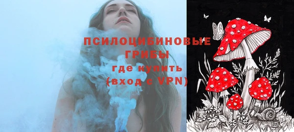 эйфоретик Касимов